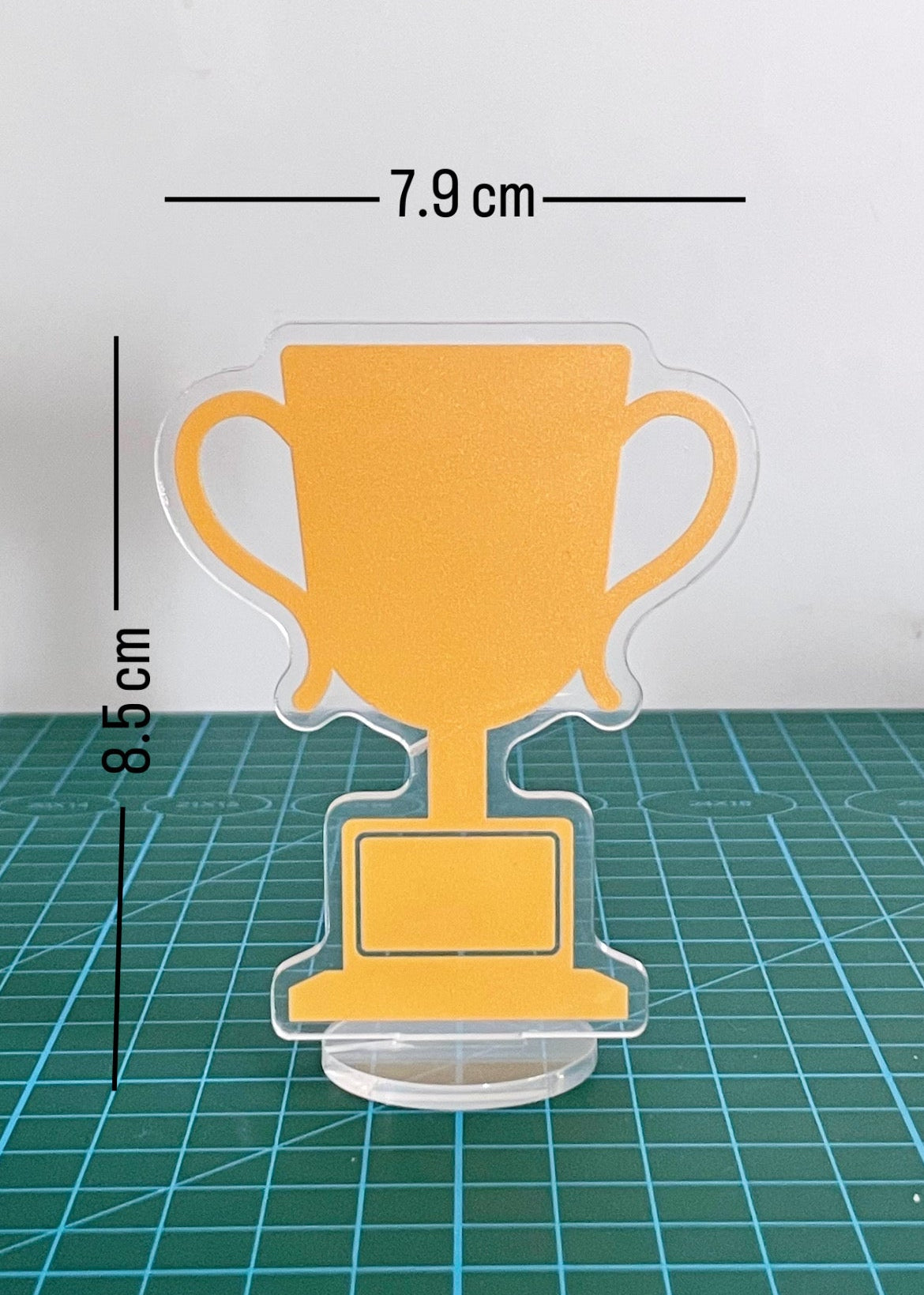 Custom Desk Standee Award