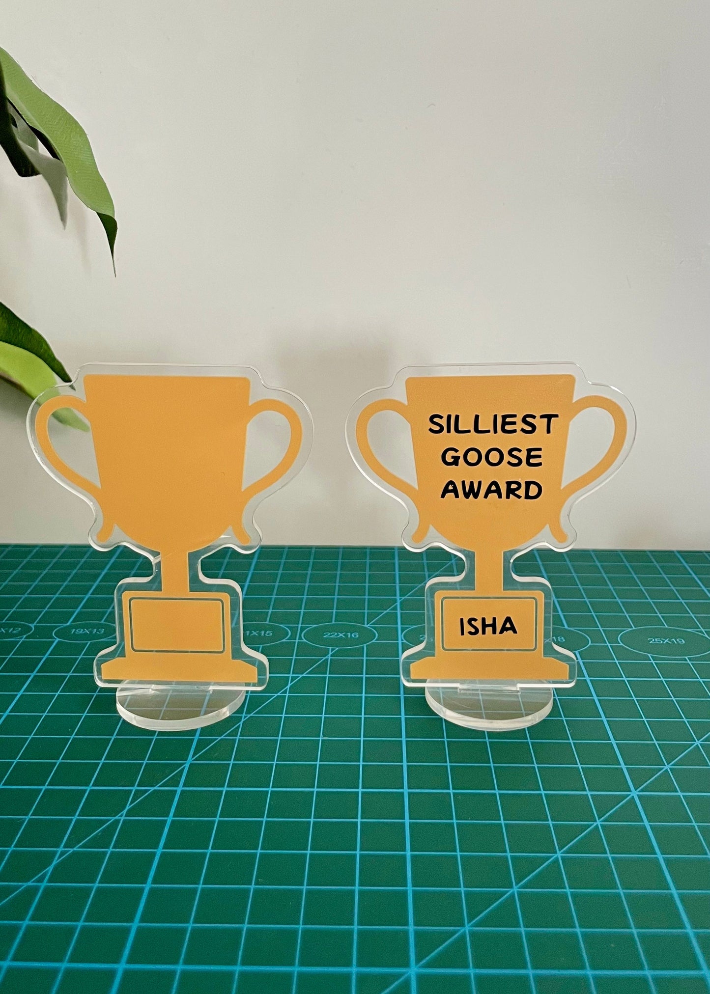 Custom Desk Standee Award