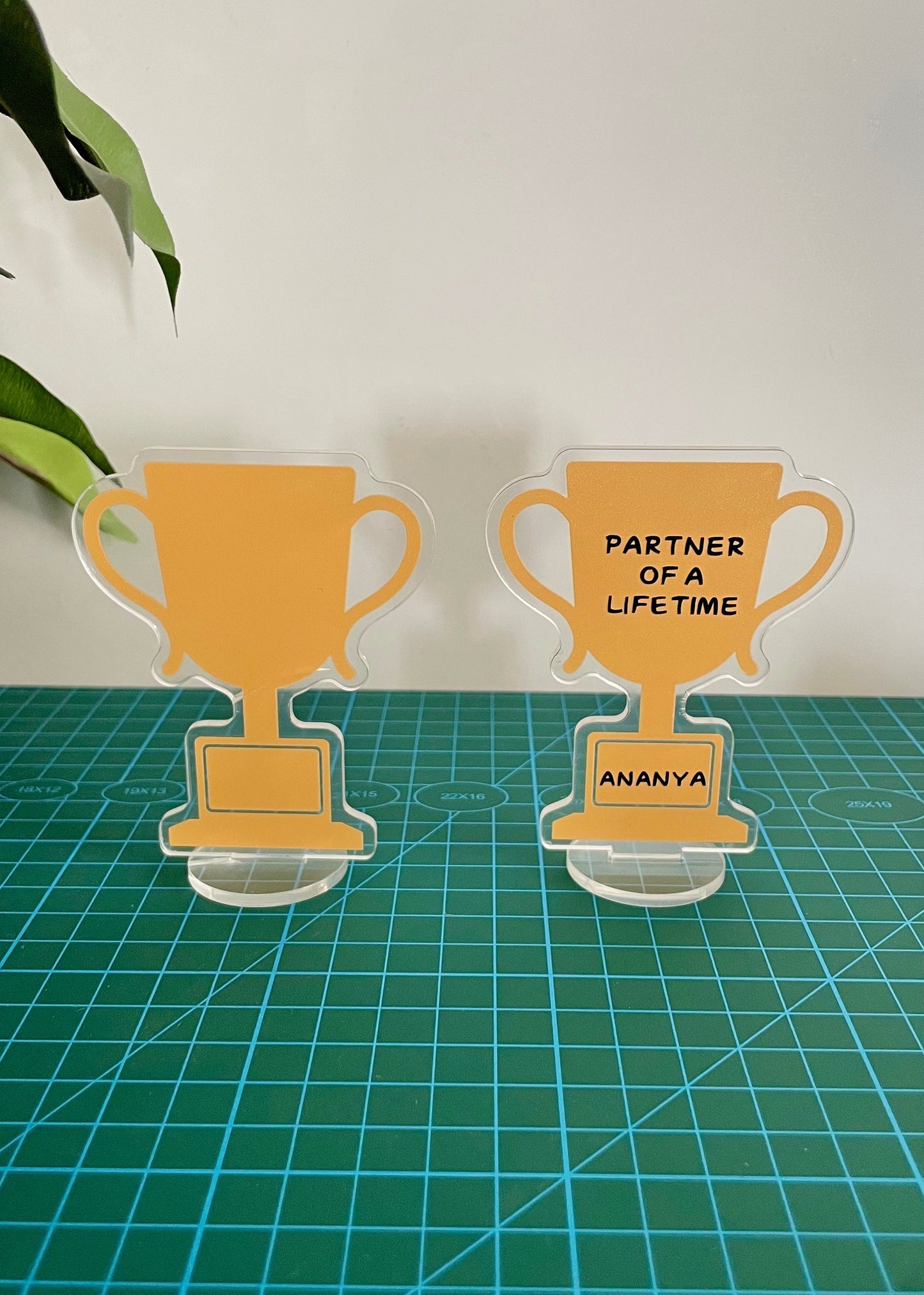 Custom Desk Standee Award